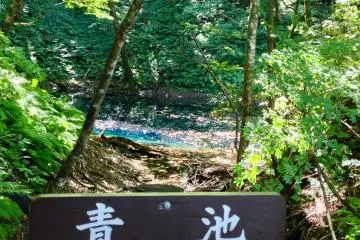 View with the sign "Aoike"