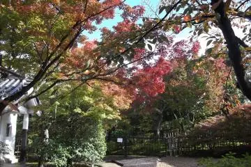 Hokongo-in Temple in Kyoto