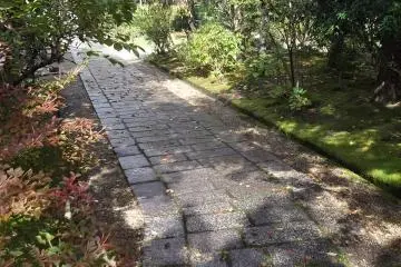 A path in the grounds