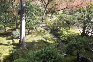There's plenty of lush greenery