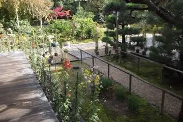 Flowers, trees and topiary