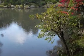 There's a path round the pond