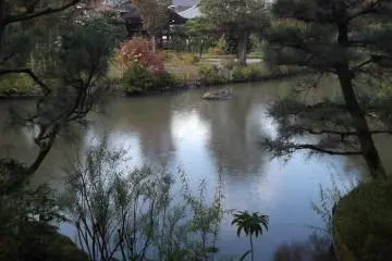 A view across the pond