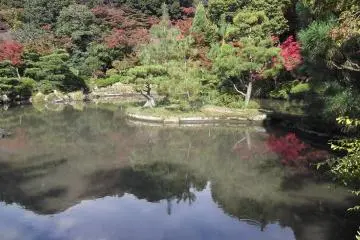 So much greenery around the pond