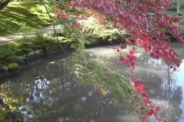 In autumn the mix of red and green is striking