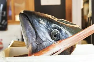Tsukiji Fish Market in Tokyo [结束]