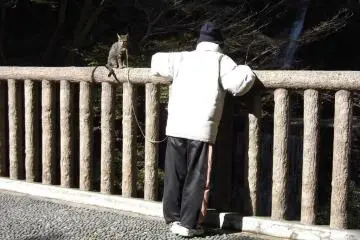 <p>The walk attracts a variety of local characters</p>
