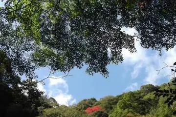 <p>It's easy to forget you're close to the bullet train station in one of Japan's largest cities.</p>