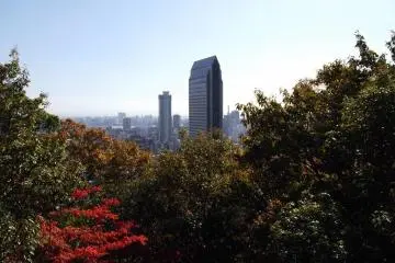 <p>A view of Kobe from the mountain</p>
