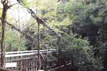 <p>A bridge where the path splits at a stream</p>