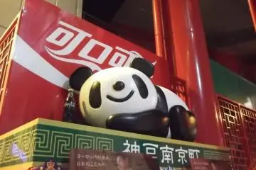 팬다 