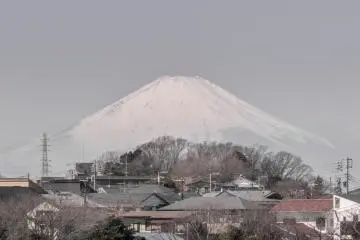 Vous pourrez observer le Mont Fuji le long du chemin