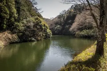 วิวทางทิศตะวันออกของทะเลสาบ