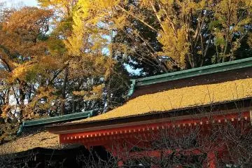 Gallery image