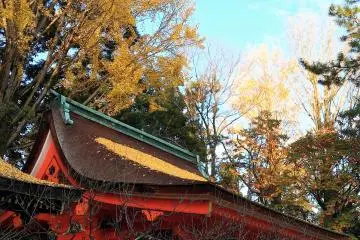 Gallery image