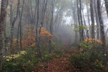 Shinetsu Trail, Part 2