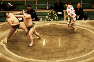 The loser is the wrestler who falls in the dohyo, falls out of the circle, or touches the ground with any part of the body other than his feet