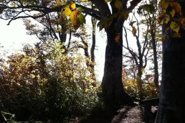 Shinetsu Trail, Part 3