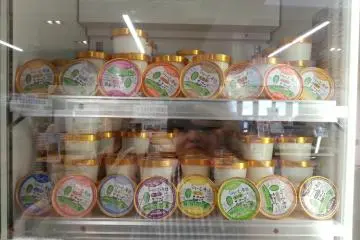 The variety of ice cream