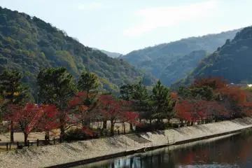 The rolling hills of Uji, Japan's Tea Capital