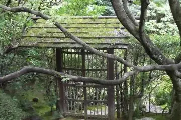 A gate with its canopy overgrown with moss