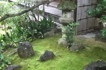 The ground by the tearoom is grown with mosses