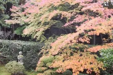 Keishun-in Temple in Kyoto