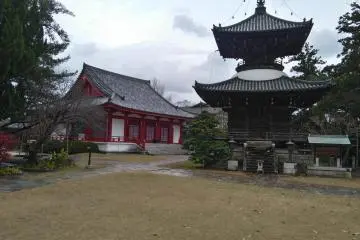 Compound 