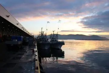 Welcoming the morning sunrise after the auctions finish
