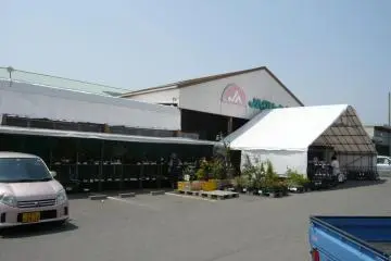 JA Green Ehime