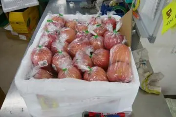 Fresh apples