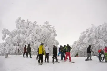 The top of Cortina