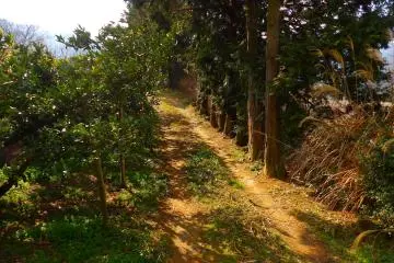 Beautiful Tokushima scenery and wildlife
