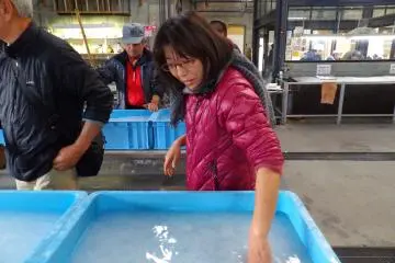 Mixing the paper pulp