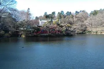 Shinto Shrine 