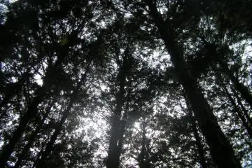 Sogenji Temple, Okayama City