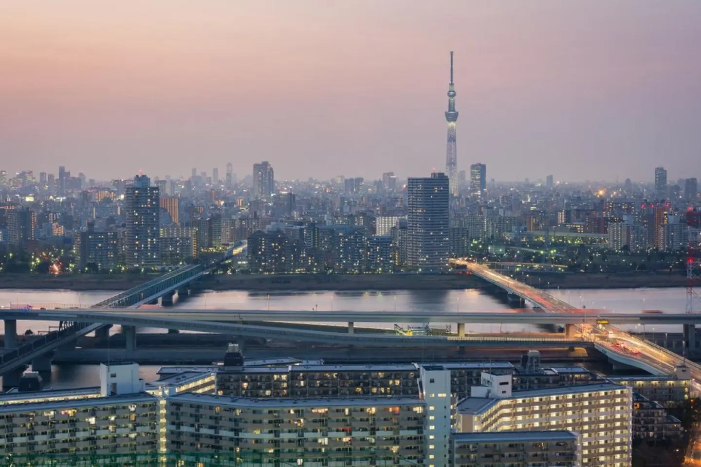 Tokyo city and Tokyo Sky Tree view taken from Tower Hall Funabori observatory deck (Photo: Lugiaz / Shutterstock.com)