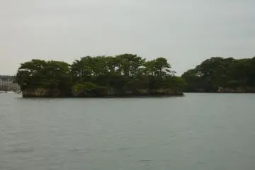 <p>A flat and short pine tree covered island in Matsushima Bay taken from a cruise boat during overcast weather.</p>
