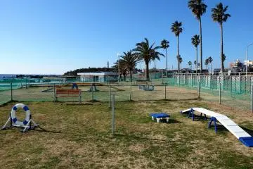 The dog run