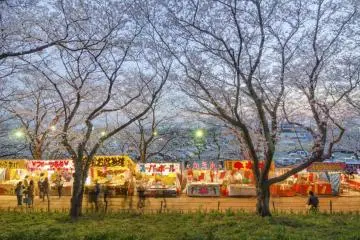 As the sun goes down, the lights come on, and it's time for festival food!