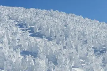 Zao Snow Monster Festival 2026-2027