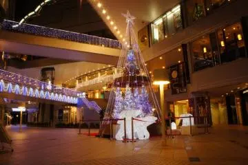 Gallery image