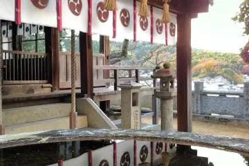 The main hall of Tamao Hachiman Shrine, reflected in a large tub of water.