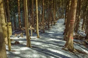  During this final part of the hike I didn’t see any other people until reaching Ikusabata Station