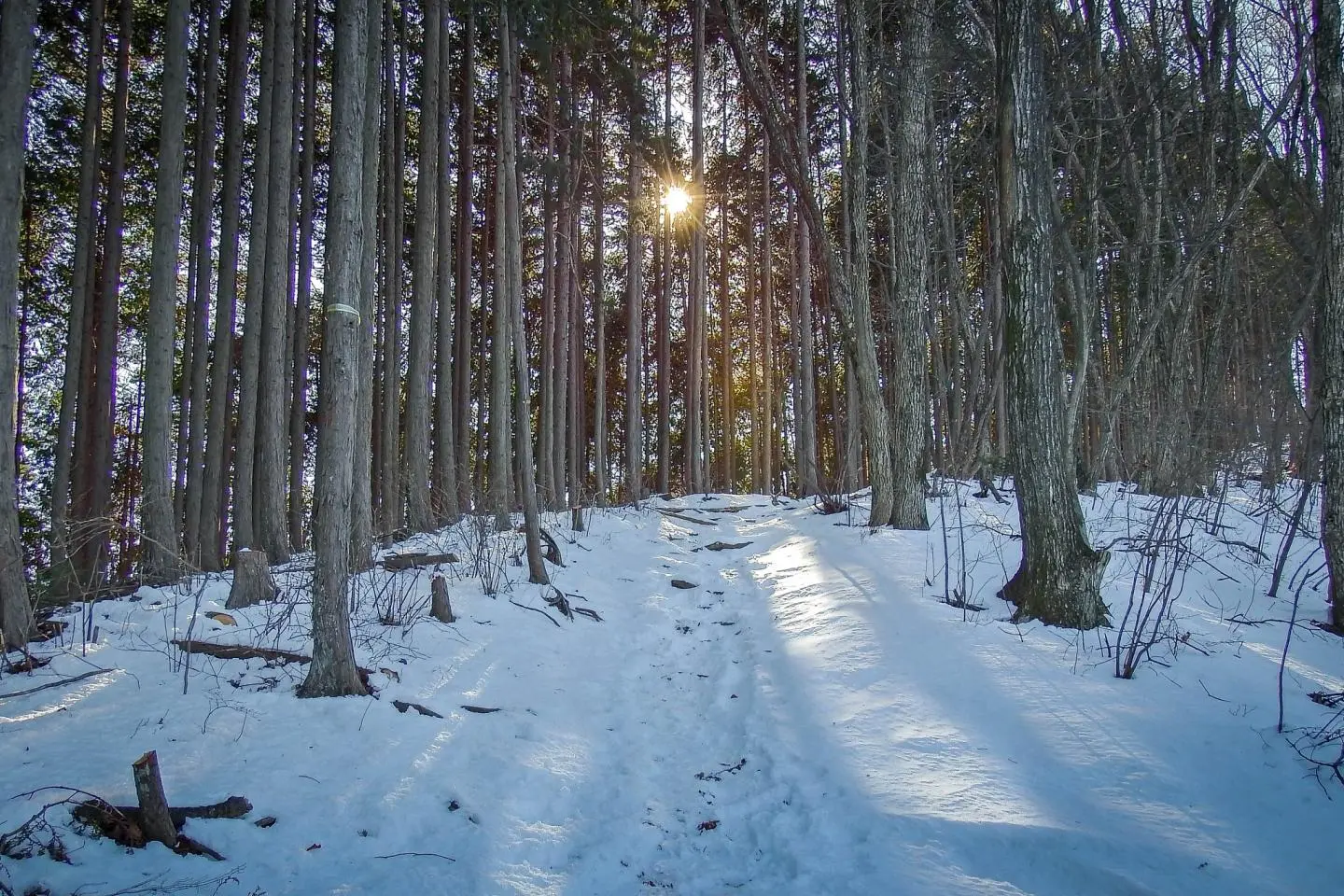 Hiking in Oku-tama