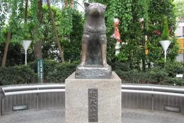 <p>รูปปั้นHachiko</p>