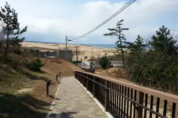 Path leading to the dunes