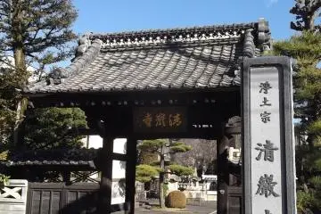 The gate from the street