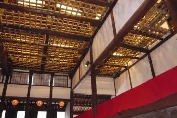 Bamboo trellis