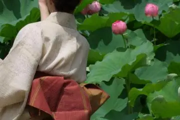 기모노와 연꽃- 완벽한 조합이다!
